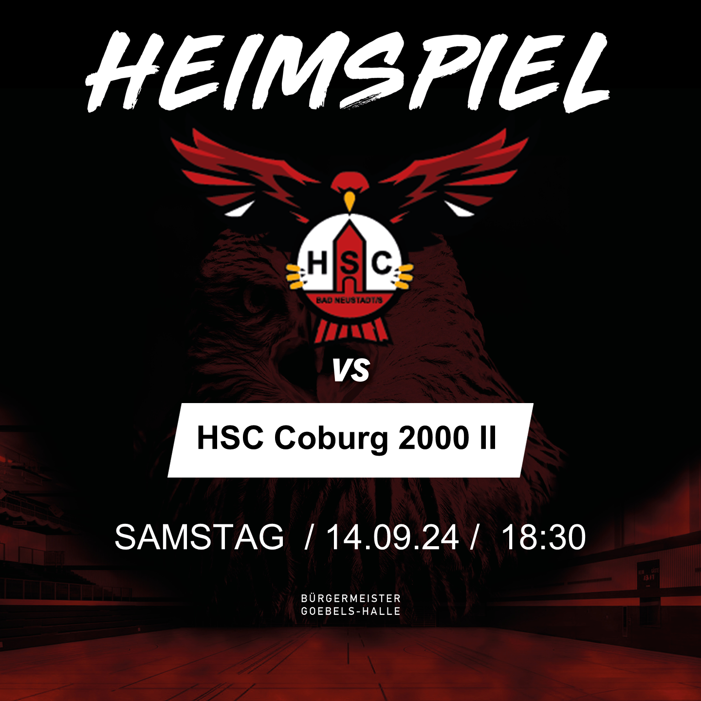 Testspiel HSC vs HSC Coburg 2000 II ( Bayernliga Mannschaft )